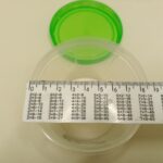 photo_2022-10-07_18-42-39 (3)