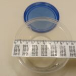 photo_2022-10-07_18-51-40 (2)