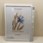 photo_2023-10-02_10-21-31